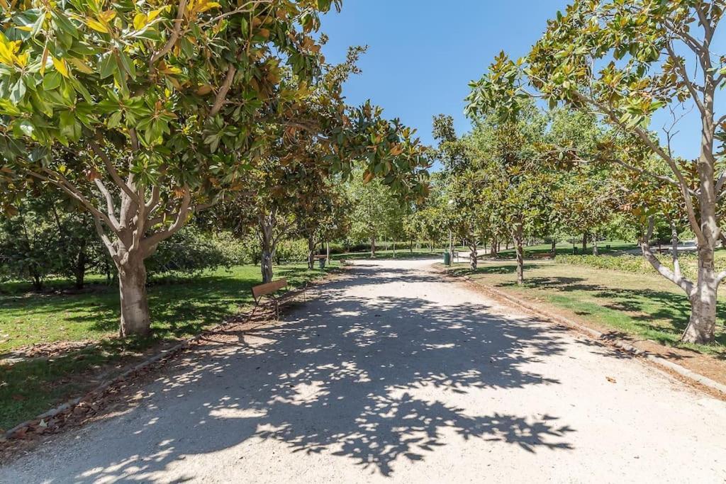 Estudio Acogedor En Zona Norte مدريد المظهر الخارجي الصورة